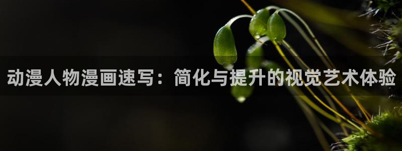 漫蛙1.1.8版