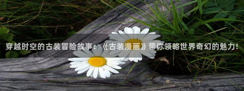 漫蛙漫画官方进入入口页面